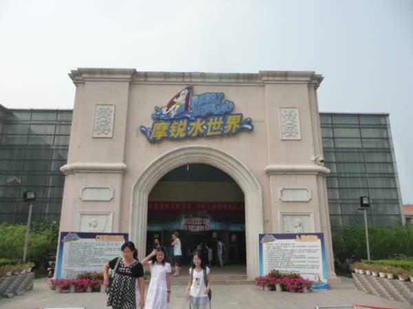 廣州滑板沖浪設備廠家